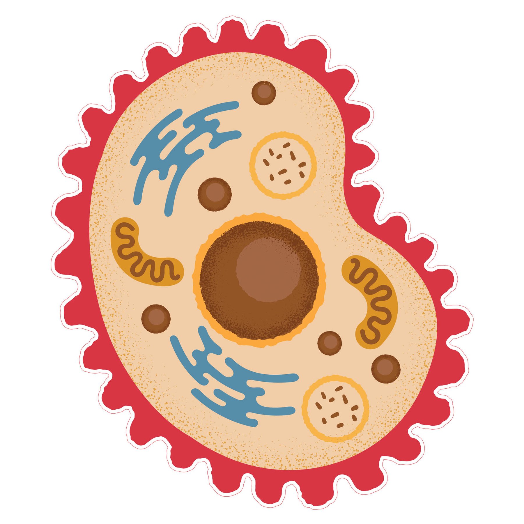 STEM Sticker, Natural Sciences - Biology, set F7, 80 cm, sticker 7