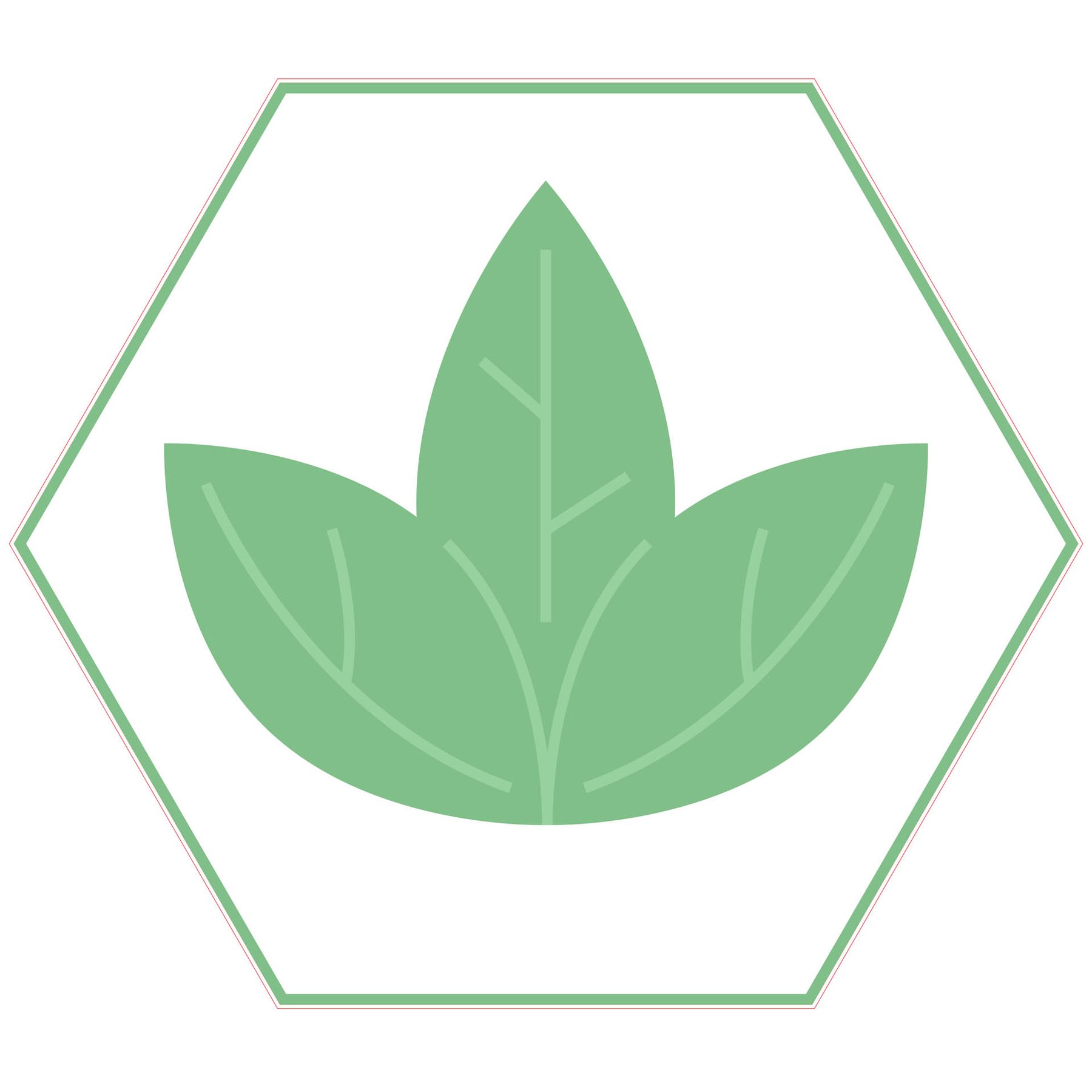 STEM Sticker, Natural Sciences - Biology, set F8, 80 cm, sticker 5