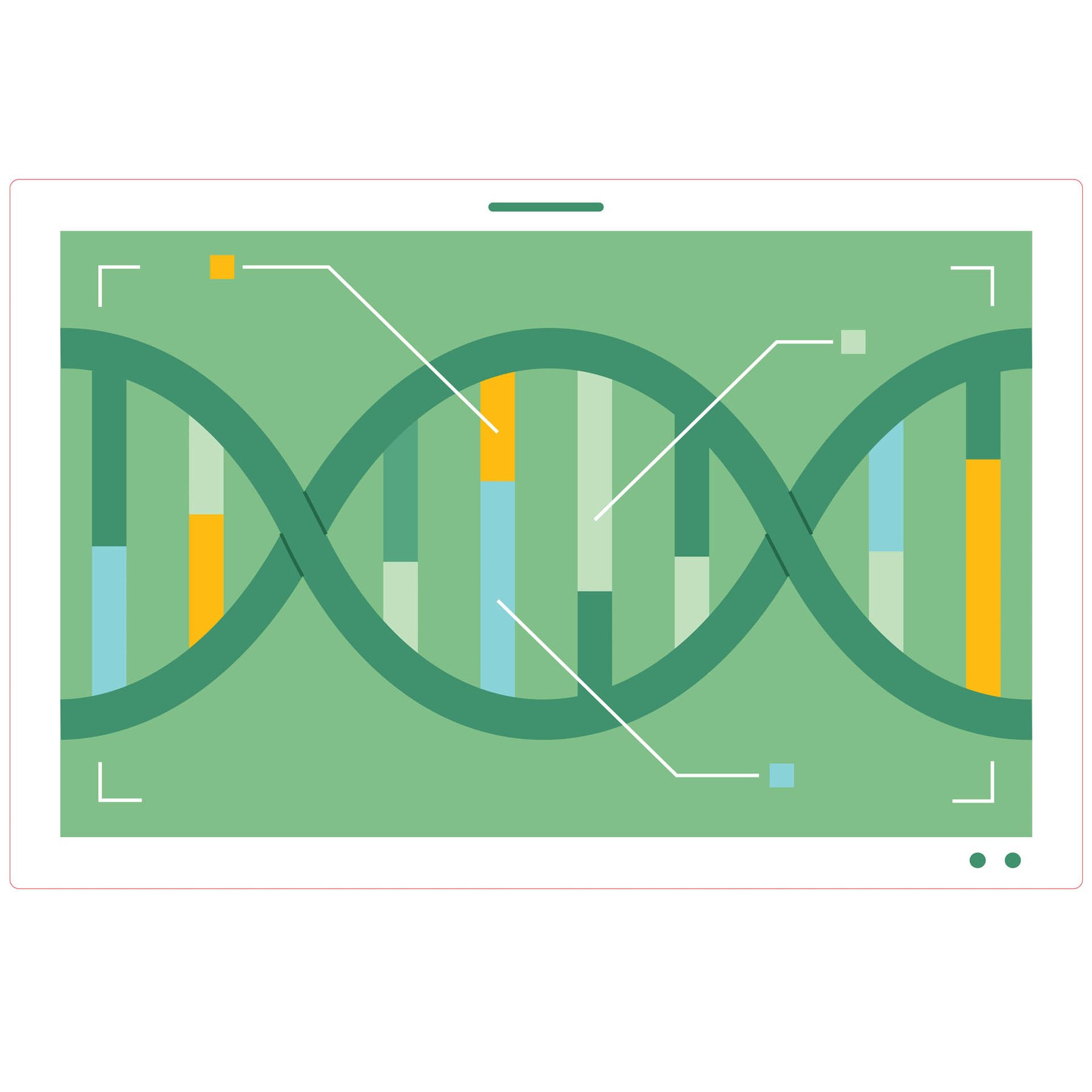 STEM Sticker, Natural sciences – Biology, set F8, 80 cm, sticker 8