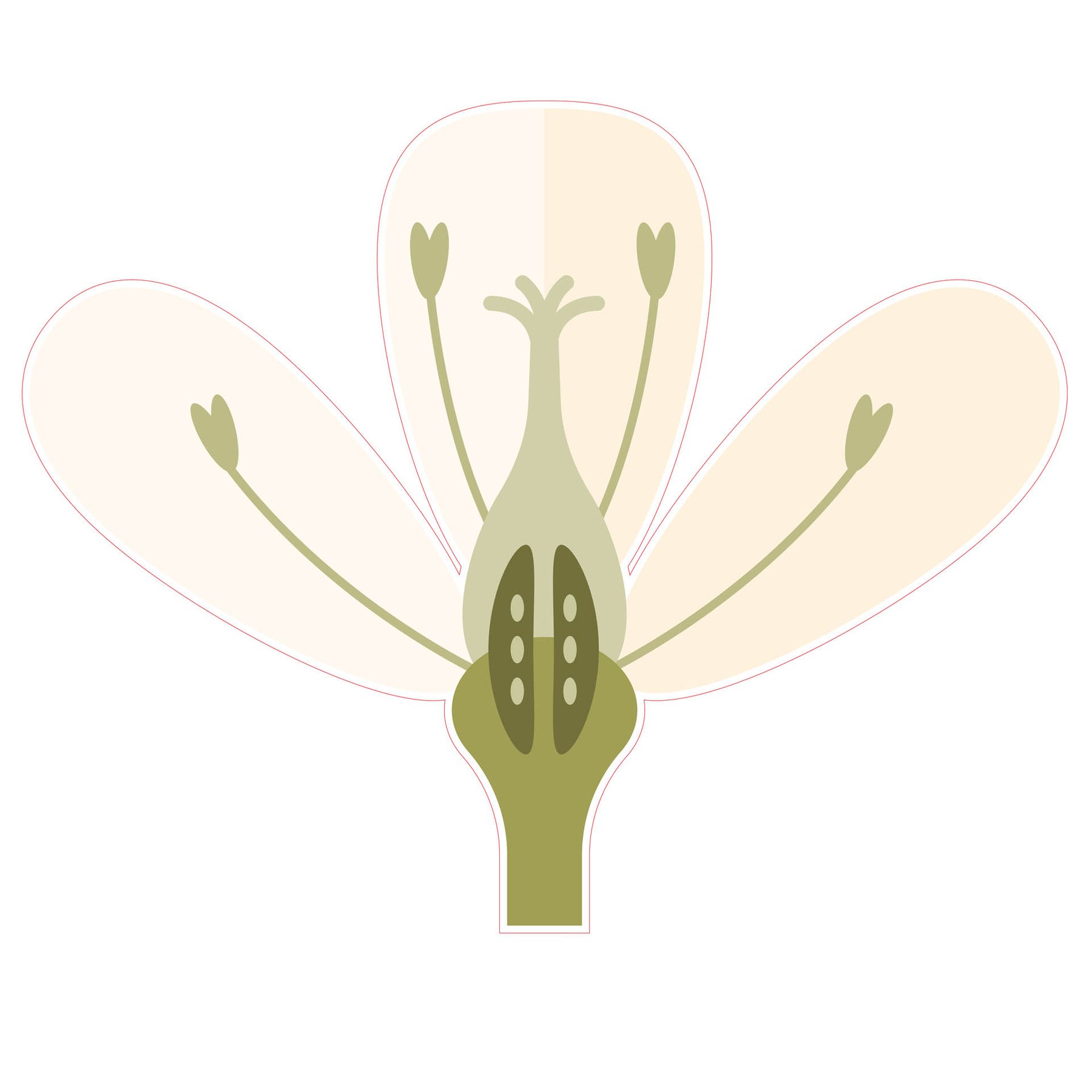STEM Sticker, Natural Sciences - Biology, set F10, 80 cm, sticker 1
