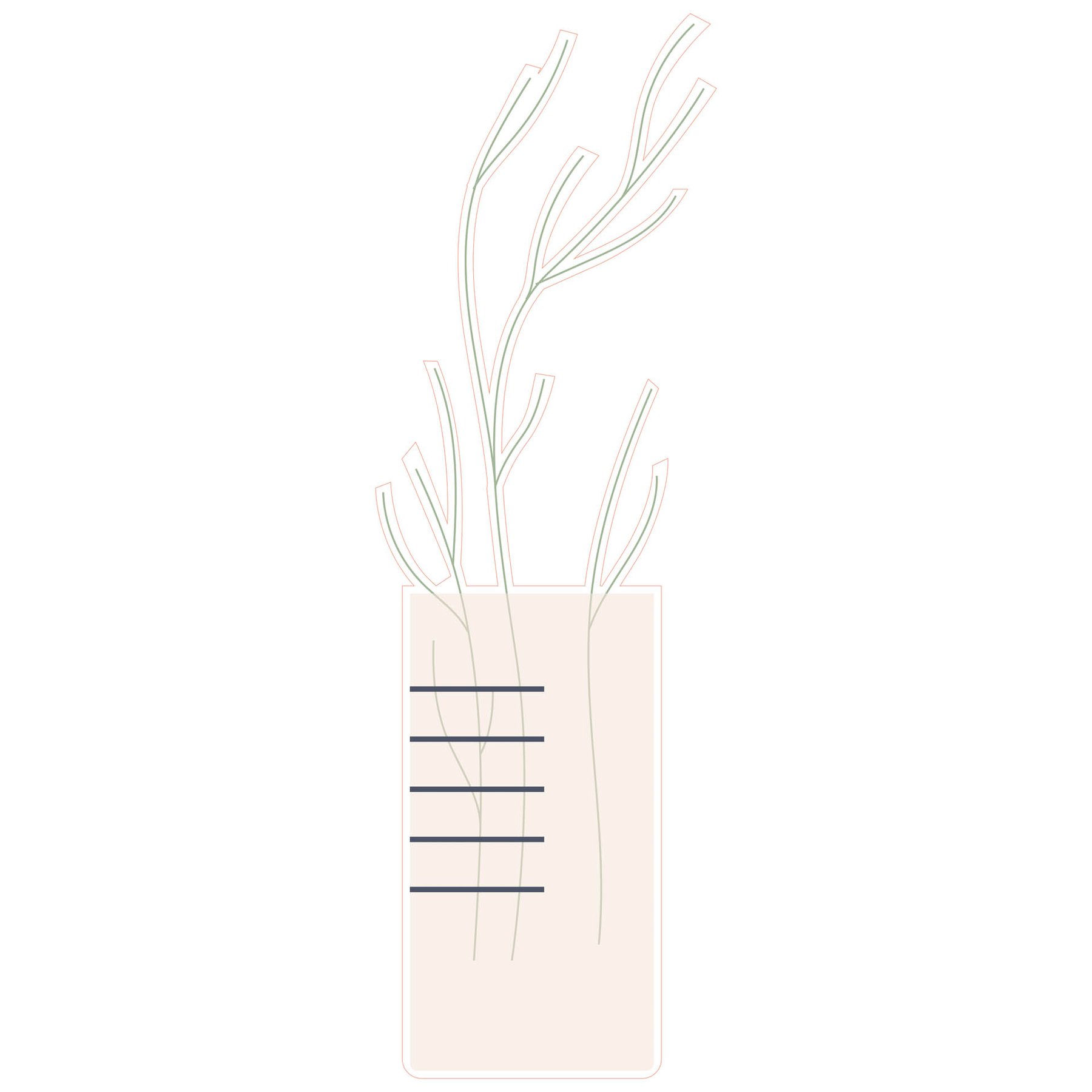 STEM Sticker, Natural Sciences - Biology, set F10, 80 cm, sticker 8
