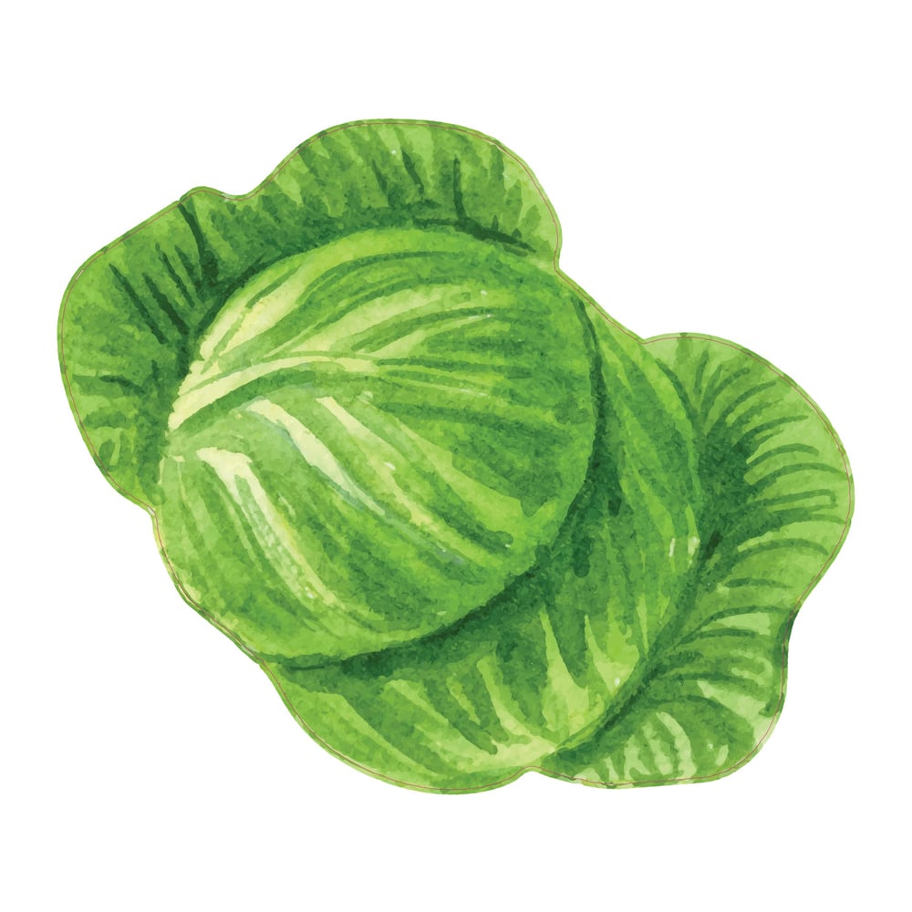 STEM Sticker, For the little ones, set P5, 80 cm, sticker 1