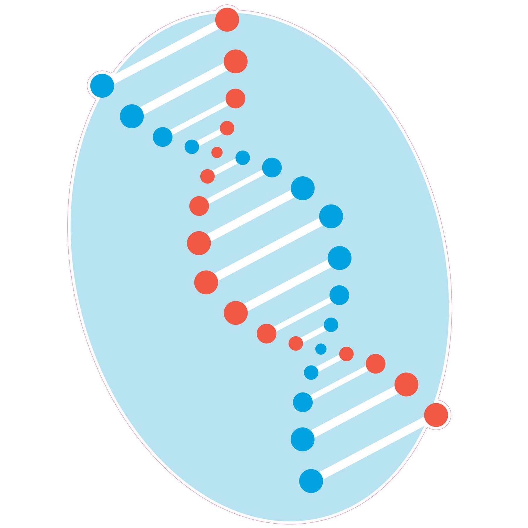 STEM Sticker, Natural Sciences - Biology, set F1, 100 cm, sticker 2