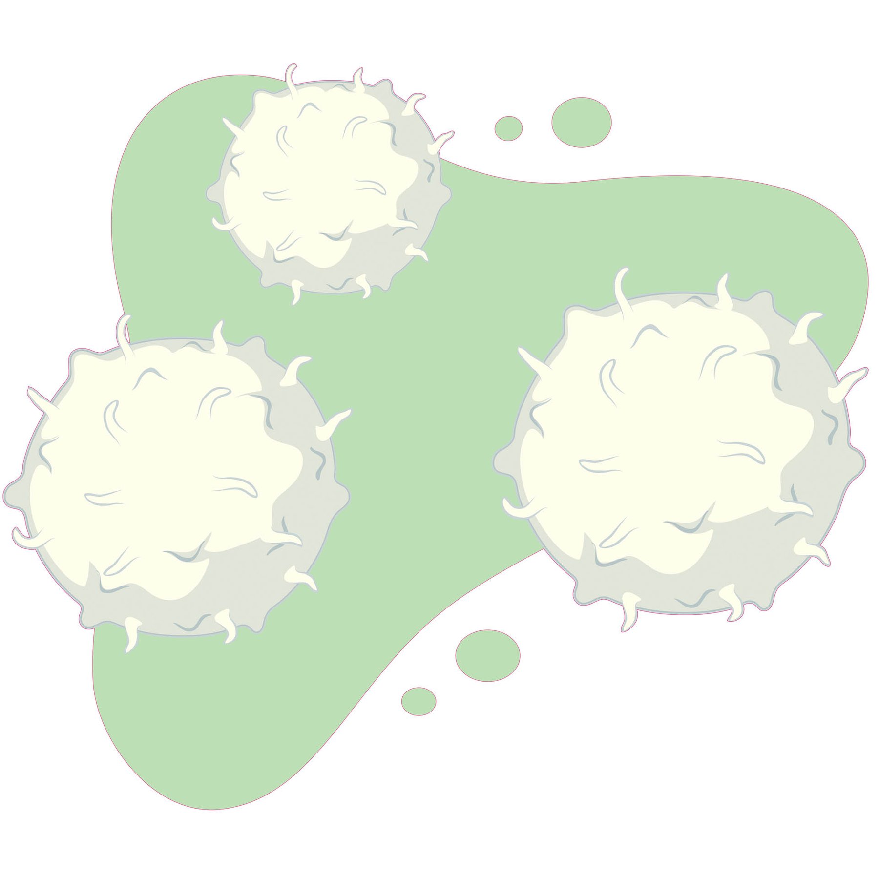 STEM Sticker, Natural Sciences - Biology, set F2, 100 cm, sticker 4