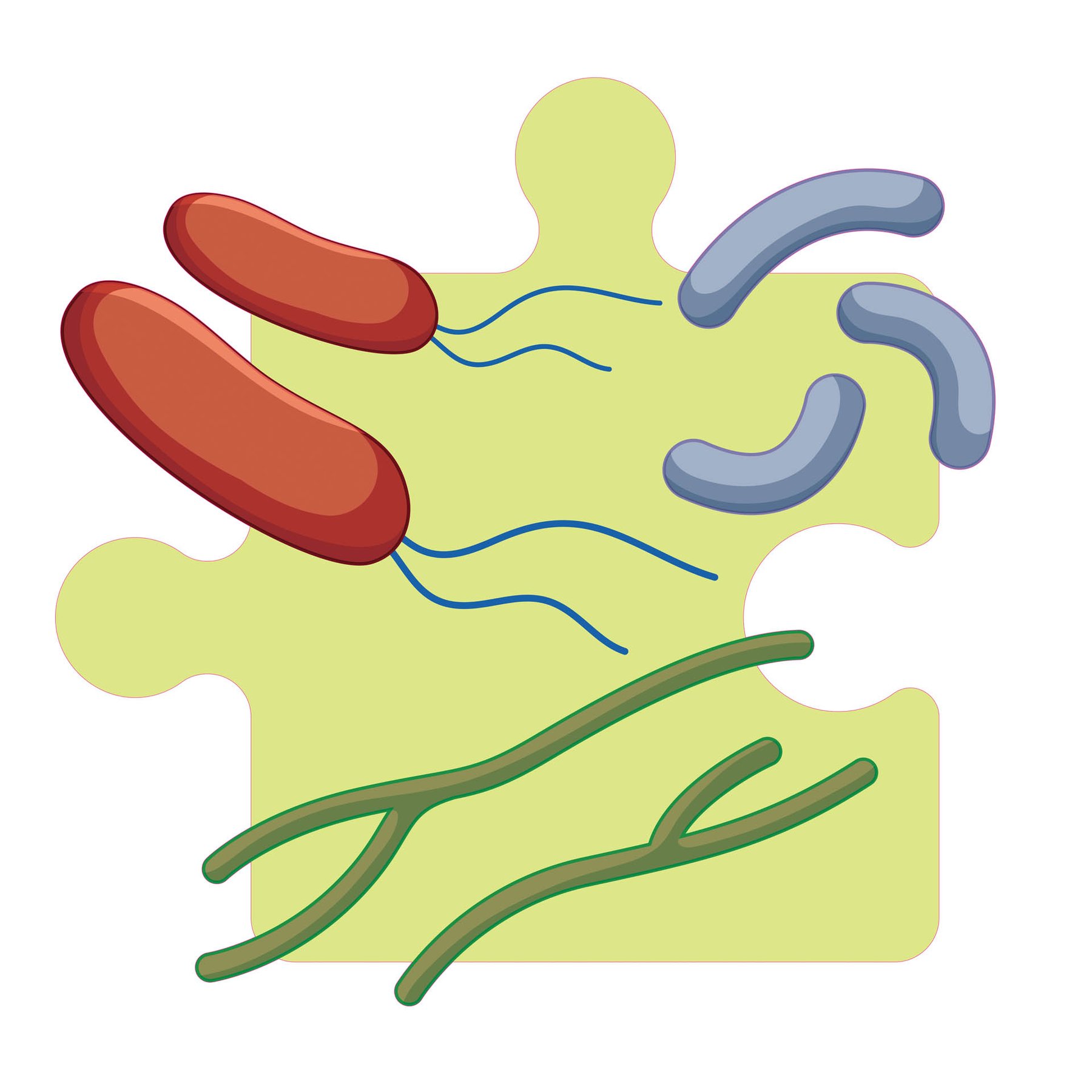 STEM Sticker, Natural Sciences – Biology, set F3, 100 cm, sticker 5
