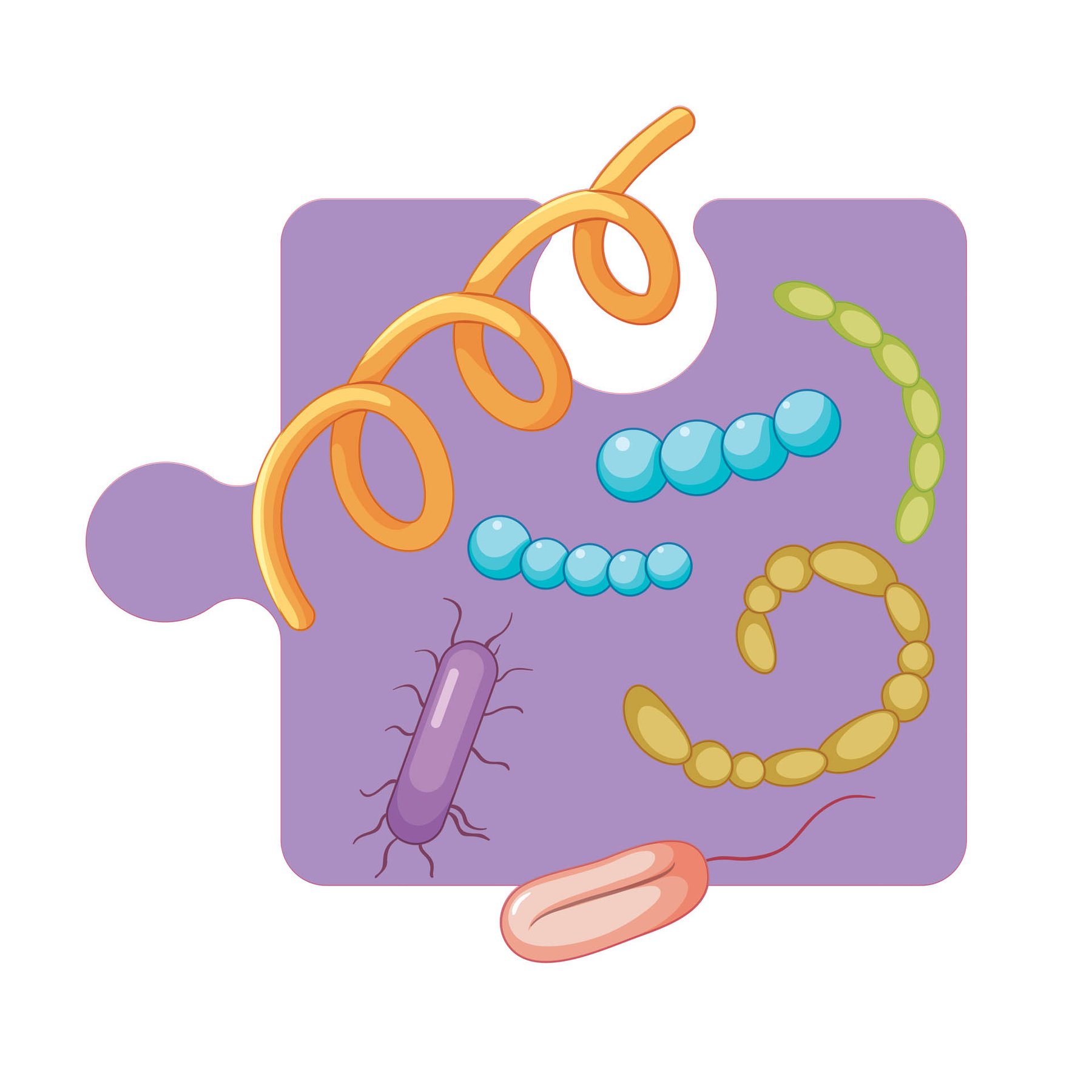 STEM Sticker, Natural Sciences - Biology, Set F3, 100 cm, Sticker 6