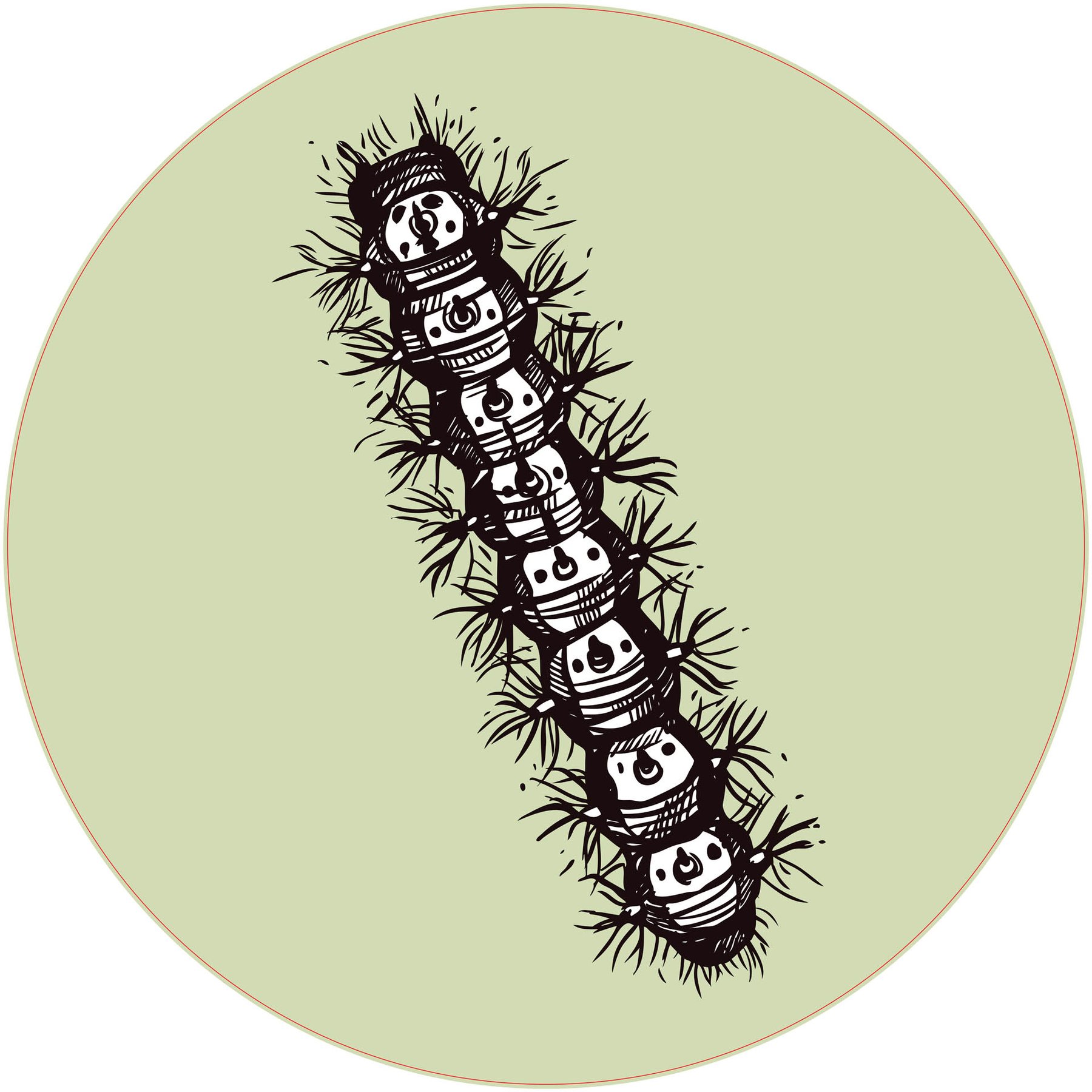 STEM Sticker, Natural sciences - Biology, set F6, 100 cm, sticker 6