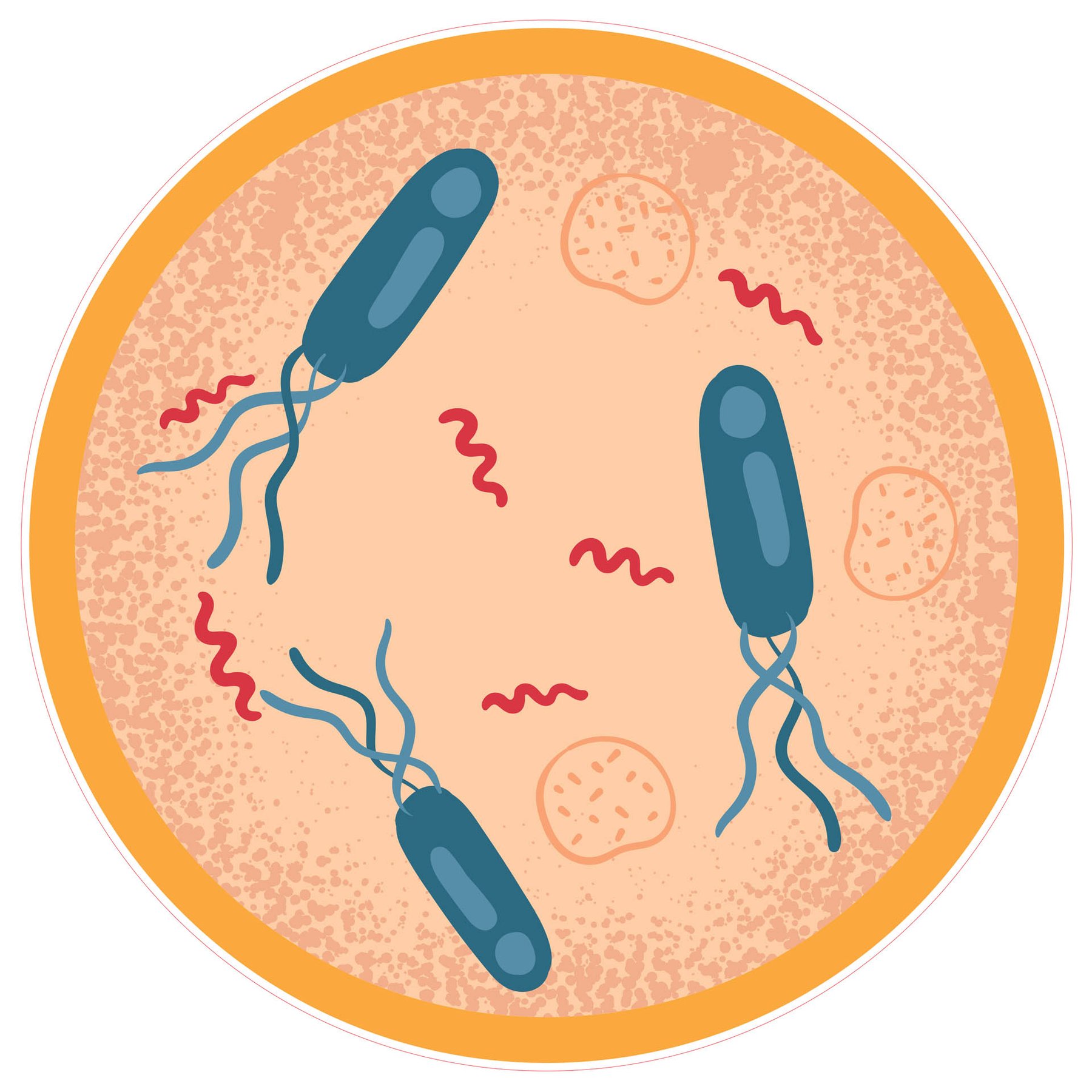 STEM Sticker, Natural sciences - Biology, set F7, 100 cm, sticker 3