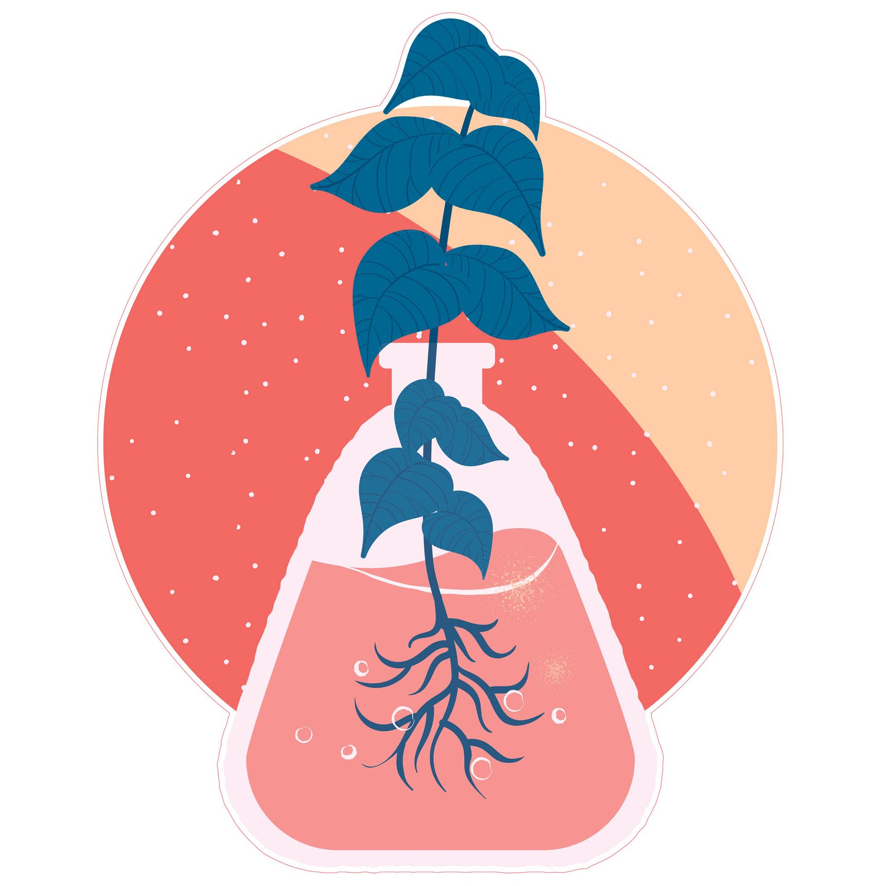 STEM Sticker, Natural Sciences – Biology, set F7, 100 cm, sticker 10