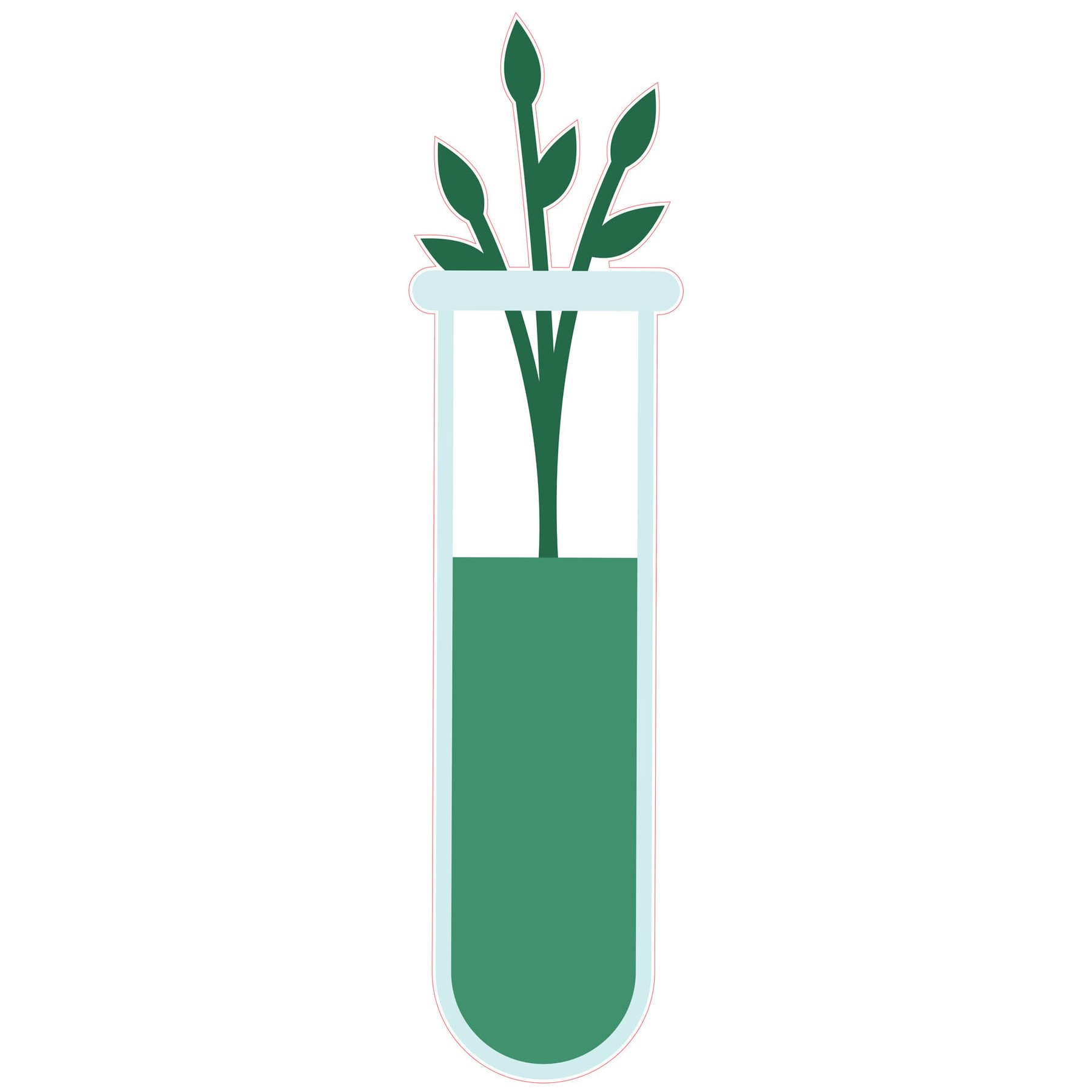 STEM Sticker, Natural Sciences – Biology, set F8, 100 cm, sticker 2