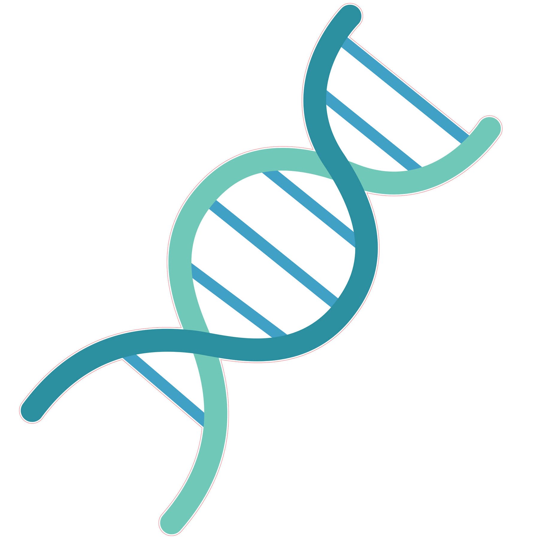 STEM Sticker, Natural Sciences – Biology, set F8, 100 cm, sticker 4