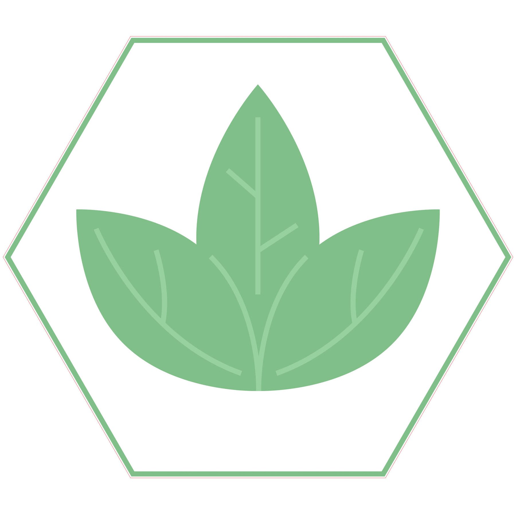 STEM Sticker, Natural sciences - Biology, set F8, 100 cm, sticker 5