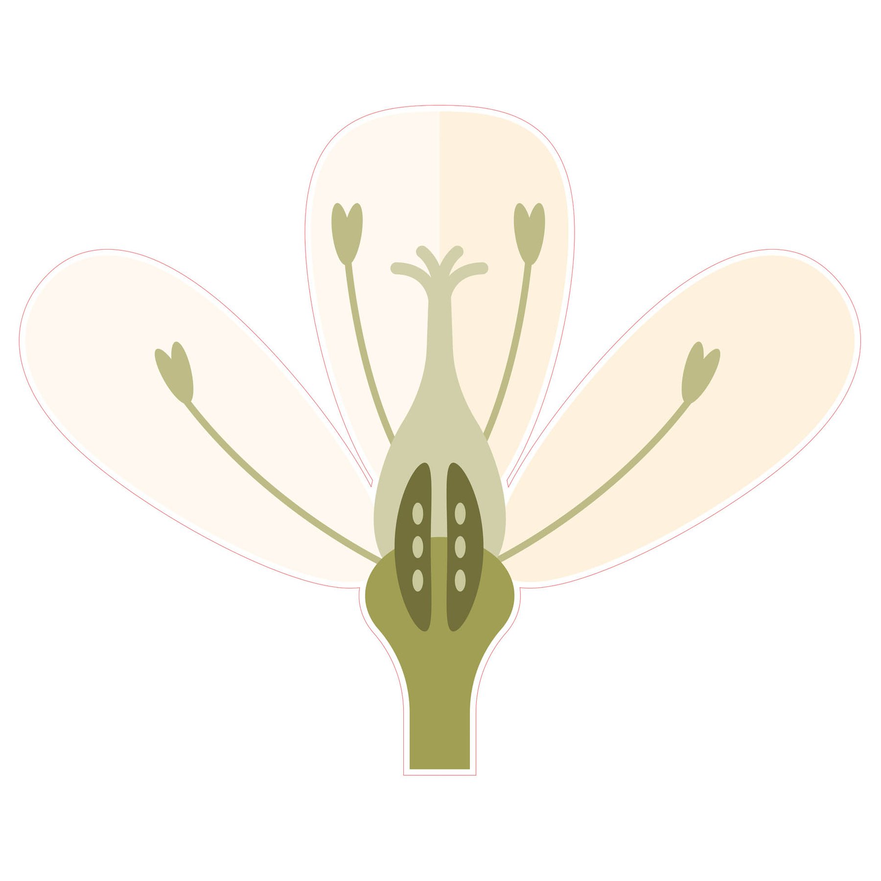 STEM Sticker, Natural Sciences - Biology, set F10, 100 cm, sticker 1