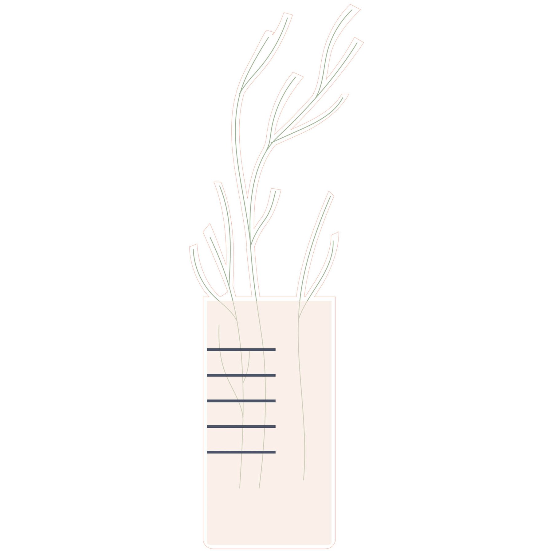 STEM Sticker, Natural Sciences - Biology, set F10, 100 cm, sticker 8