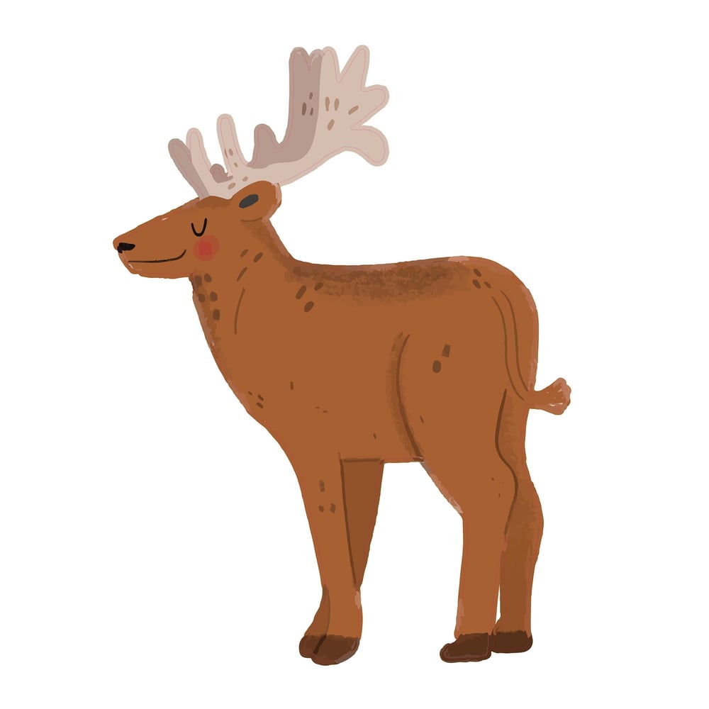 STEM Стикер, За най-малките, комплект P2, 100 cm, стикер 3