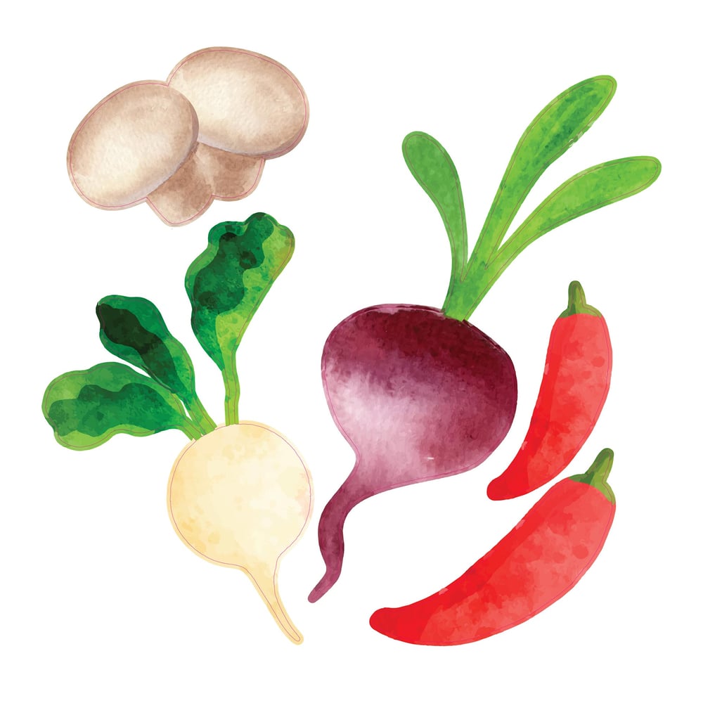 STEM Стикер, За най-малките, комплект P5, 100 cm, стикер 4