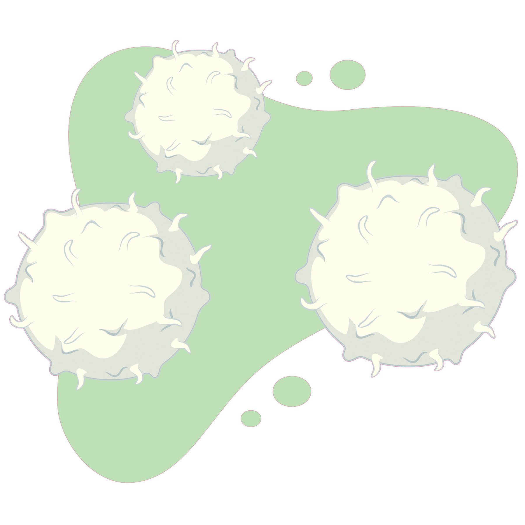 STEM Sticker, Natural sciences – Biology, set F2, 150 cm, sticker 4