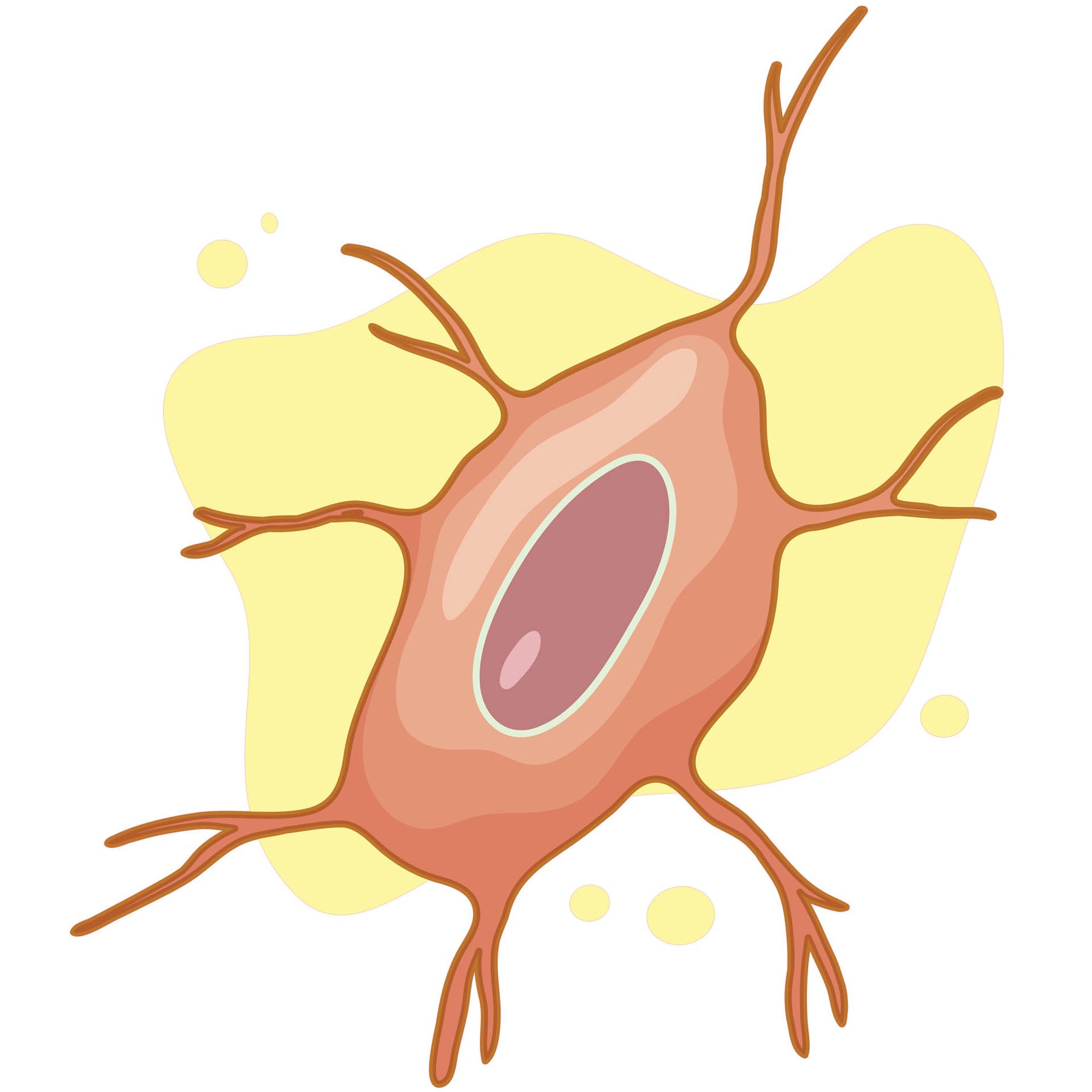 STEM Sticker, Natural Sciences – Biology, set F2, 150 cm, sticker 6