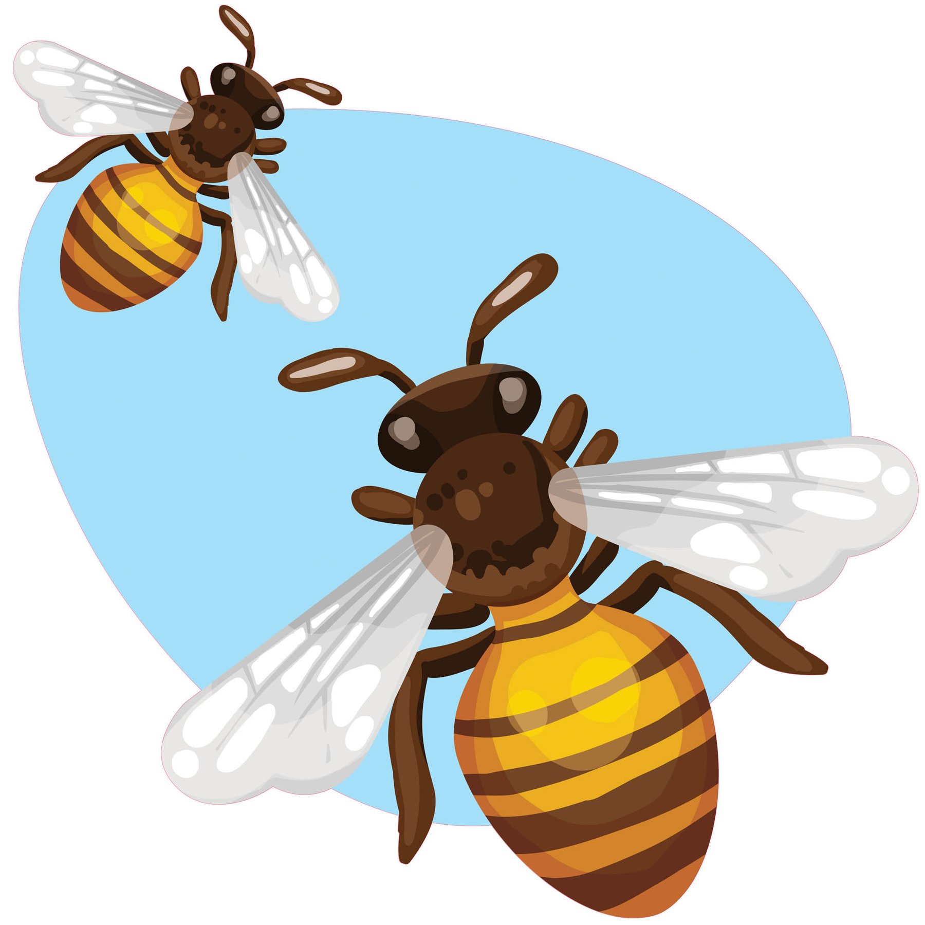 STEM Sticker, Natural Sciences - Biology, set F2, 150 cm, sticker 8