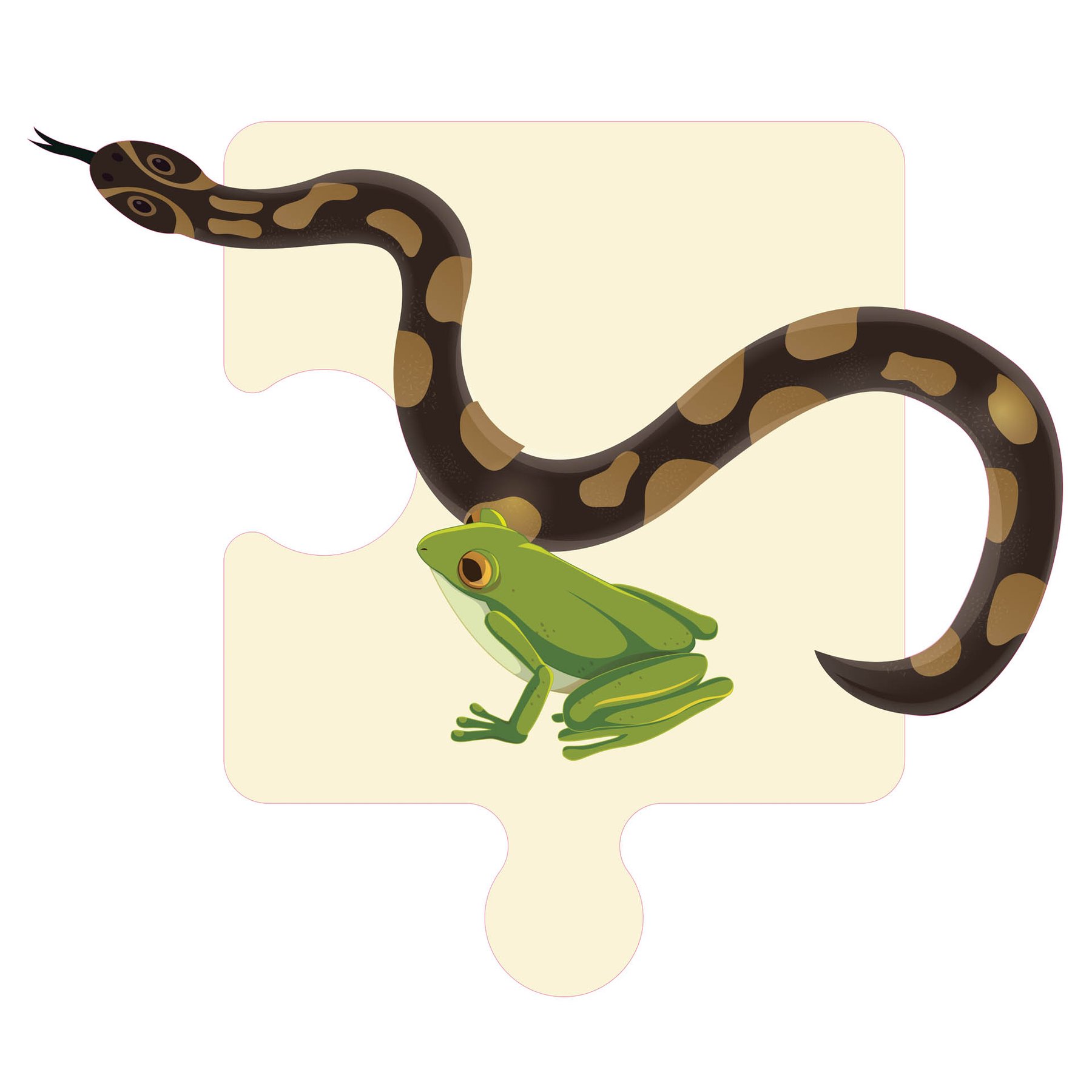 STEM Sticker, Natural Sciences – Biology, set F3, 150 cm, sticker 3