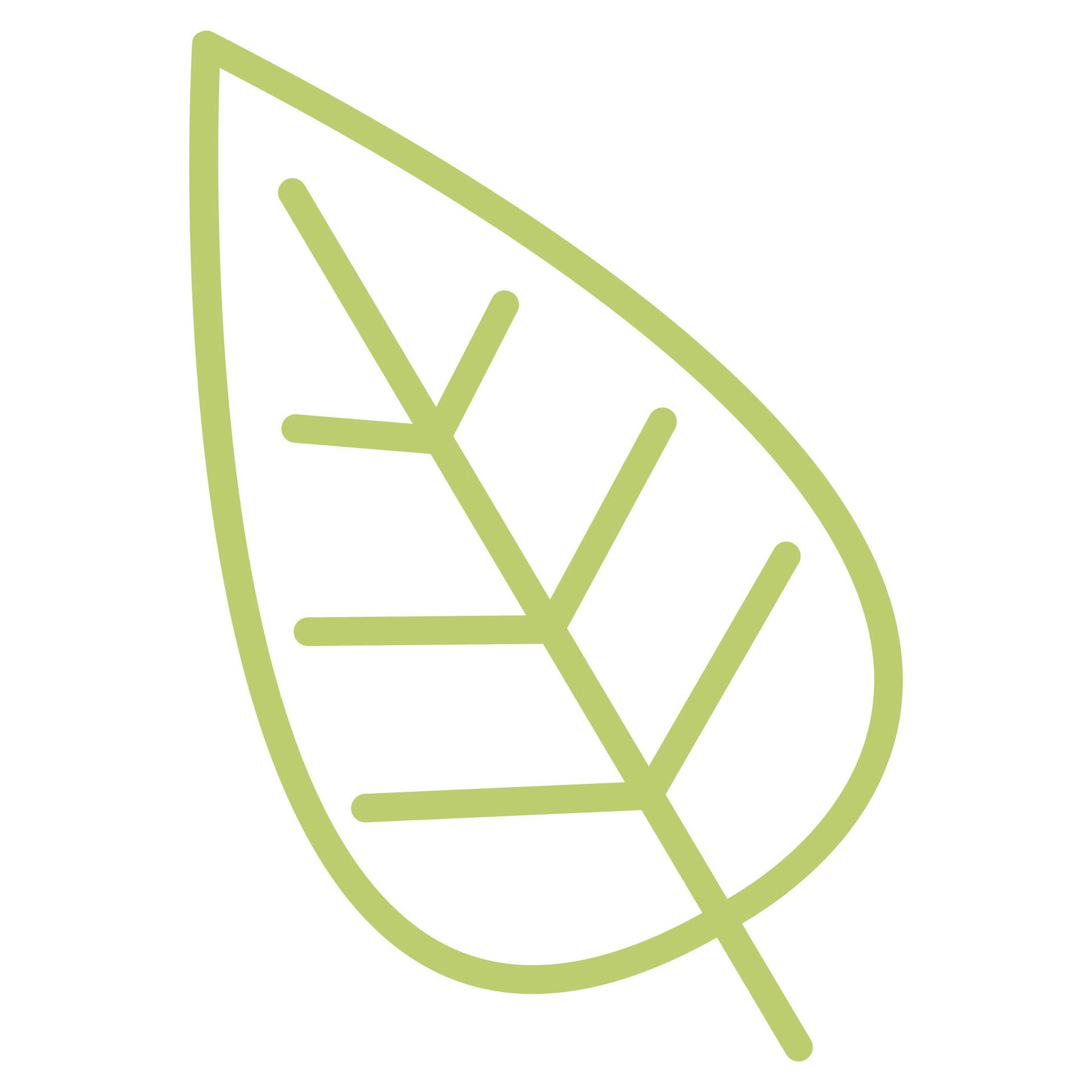 STEM Sticker, Natural Sciences - Biology, set F5, 150 cm, sticker 5