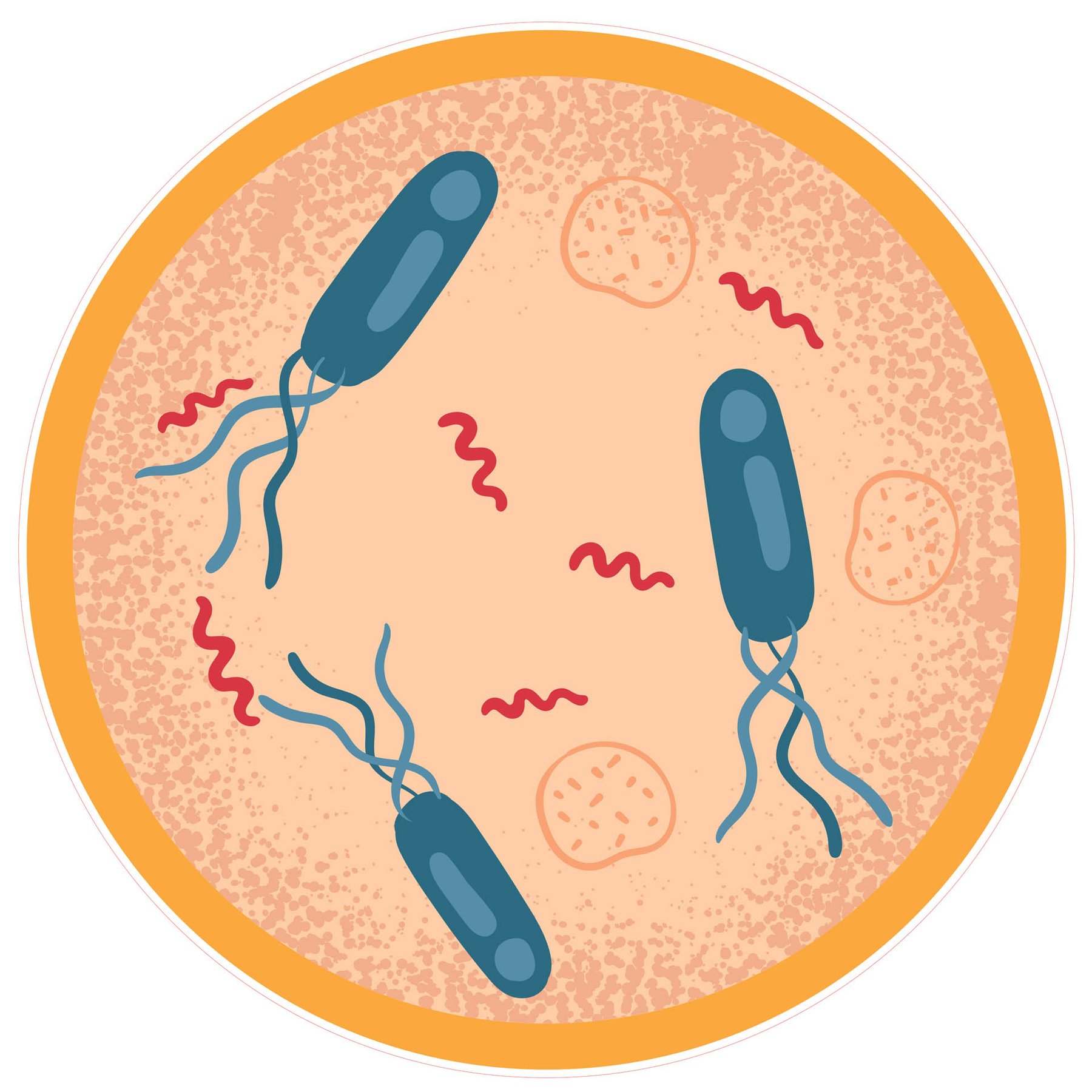 STEM Sticker, Natural Sciences – Biology, set F7, 150 cm, sticker 3