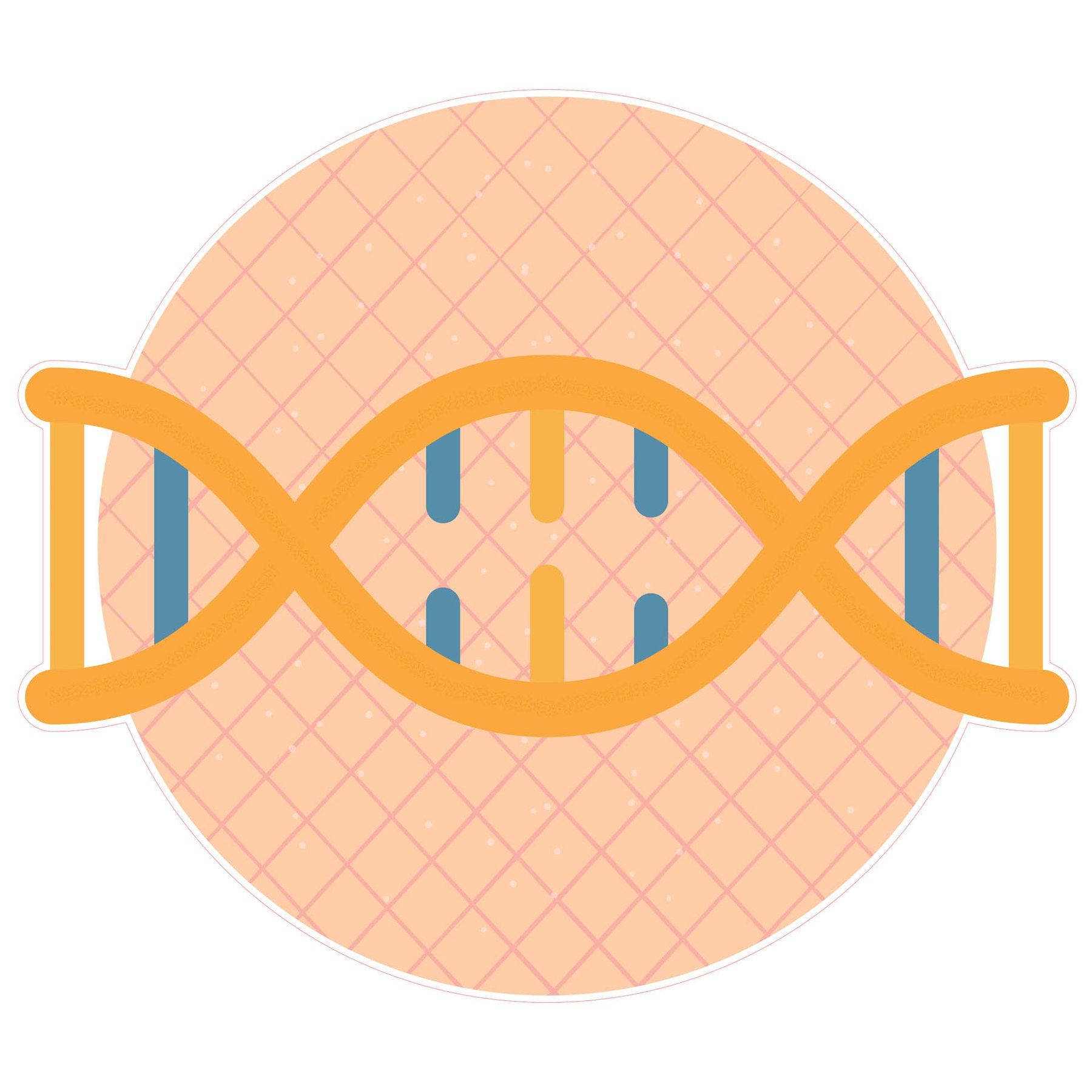 STEM Sticker, Natural Sciences - Biology, Set F7, 150 cm, Sticker 4