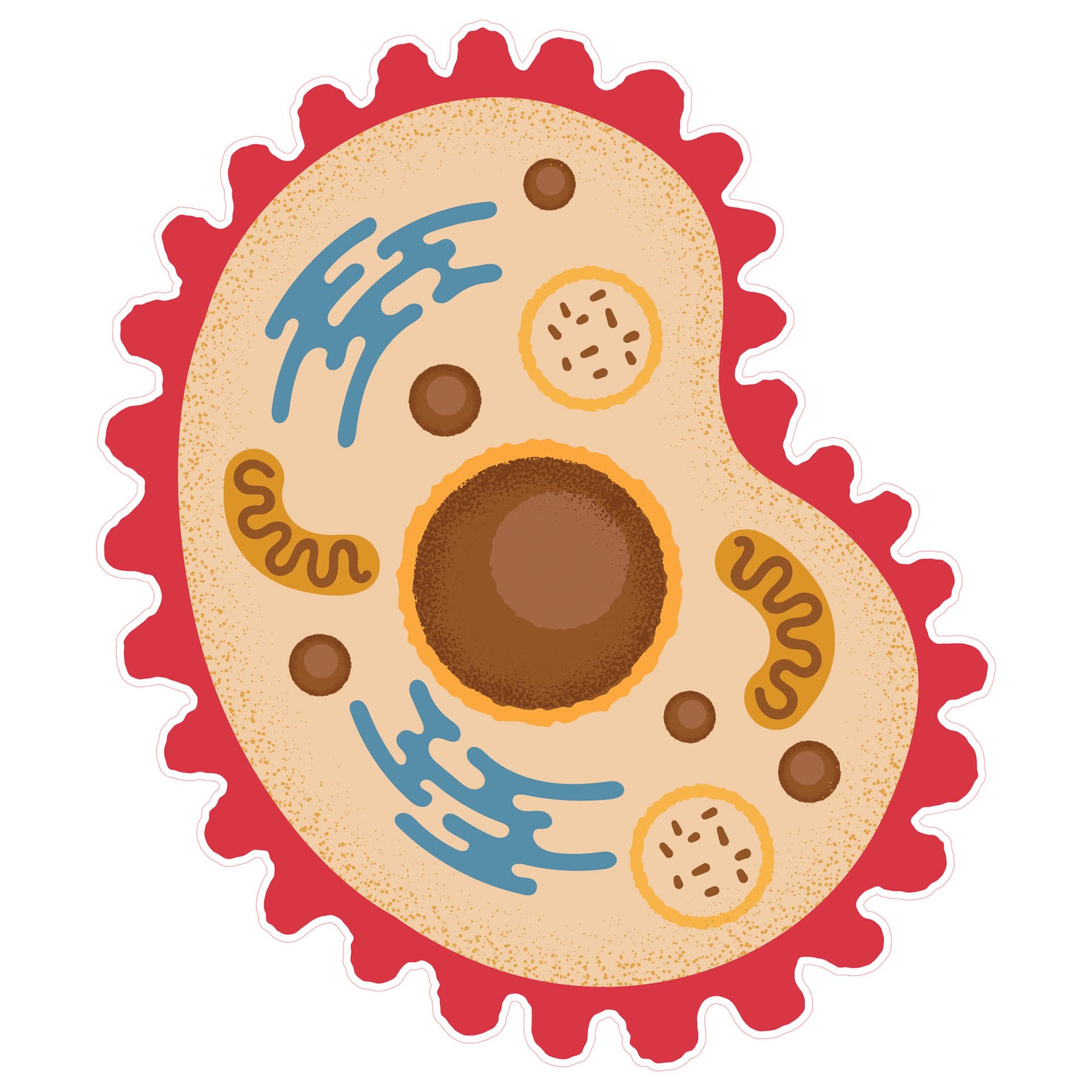 STEM Sticker, Natural Sciences - Biology, Set F7, 150 cm, Sticker 7