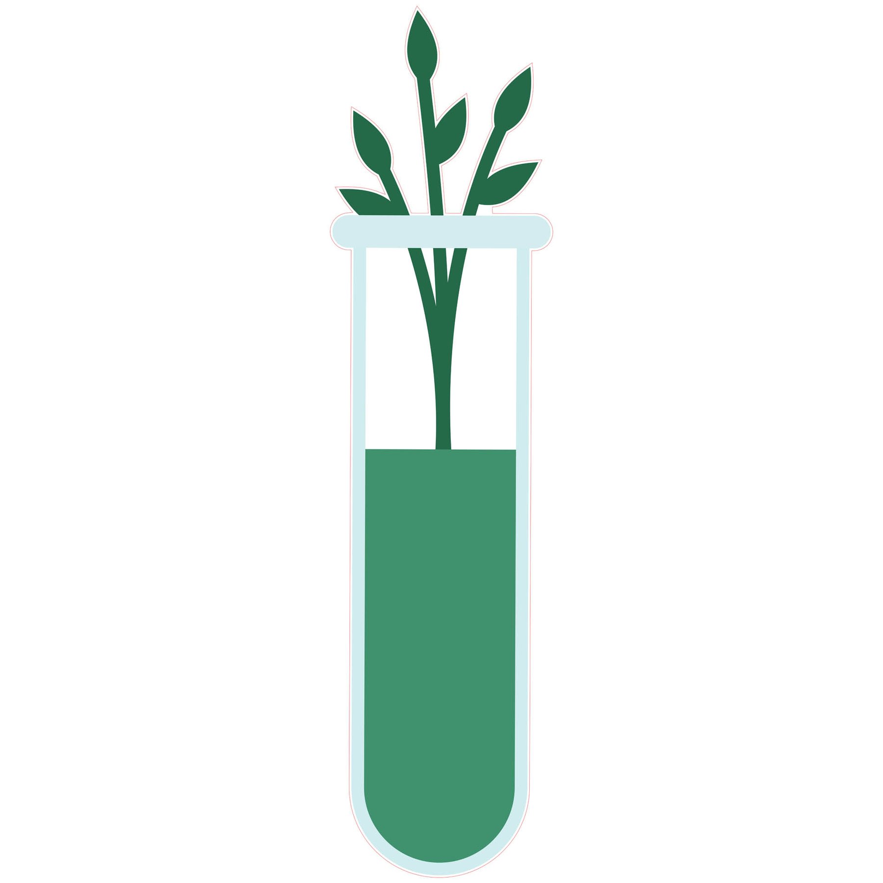 STEM Sticker, Natural Sciences – Biology, set F8, 150 cm, sticker 2