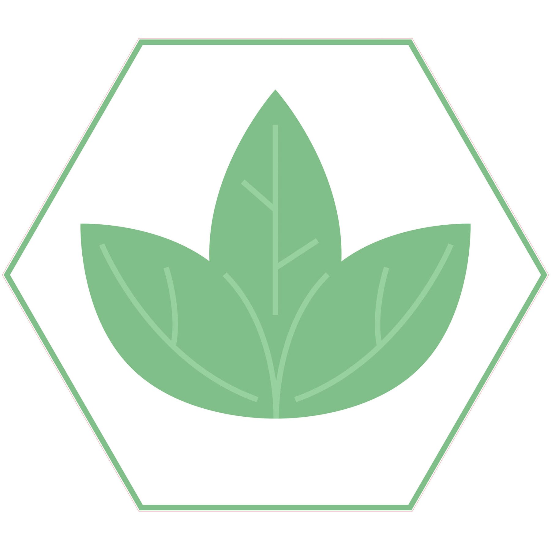 STEM Sticker, Natural sciences - Biology, set F8, 150 cm, sticker 5