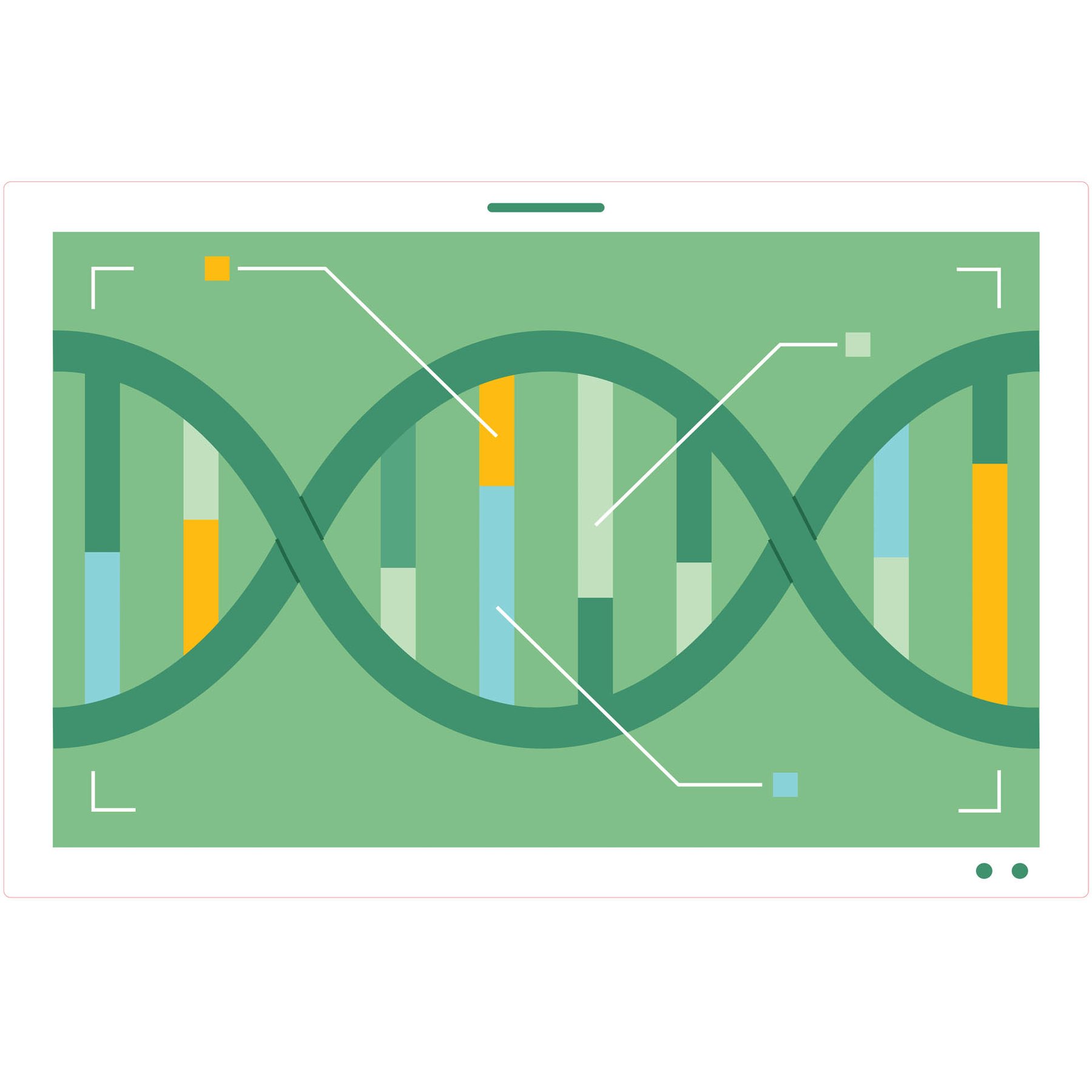 STEM Sticker, Natural Sciences - Biology, set F8, 150 cm, sticker 8
