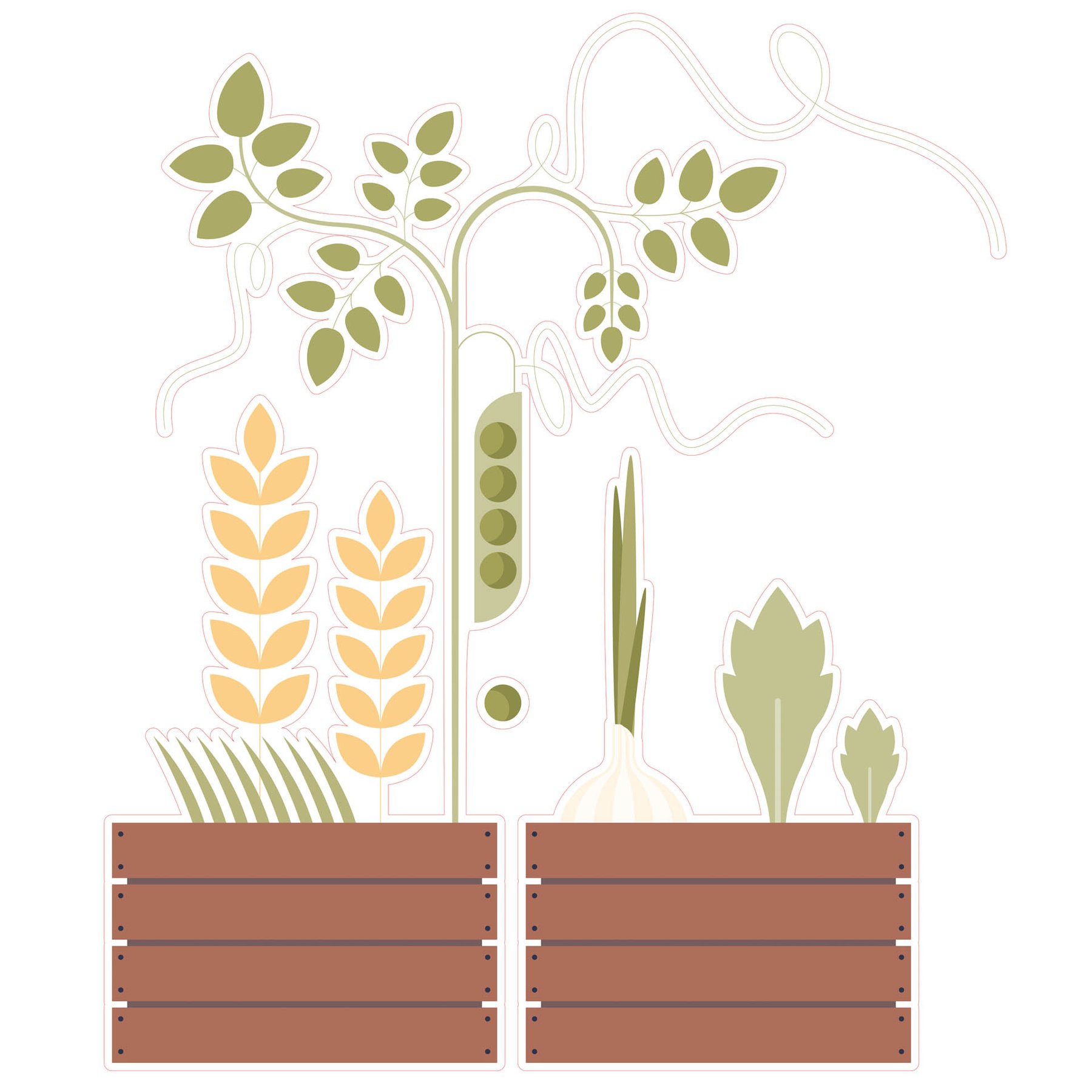 STEM Sticker, Natural Sciences - Biology, set F10, 150 cm, sticker 3