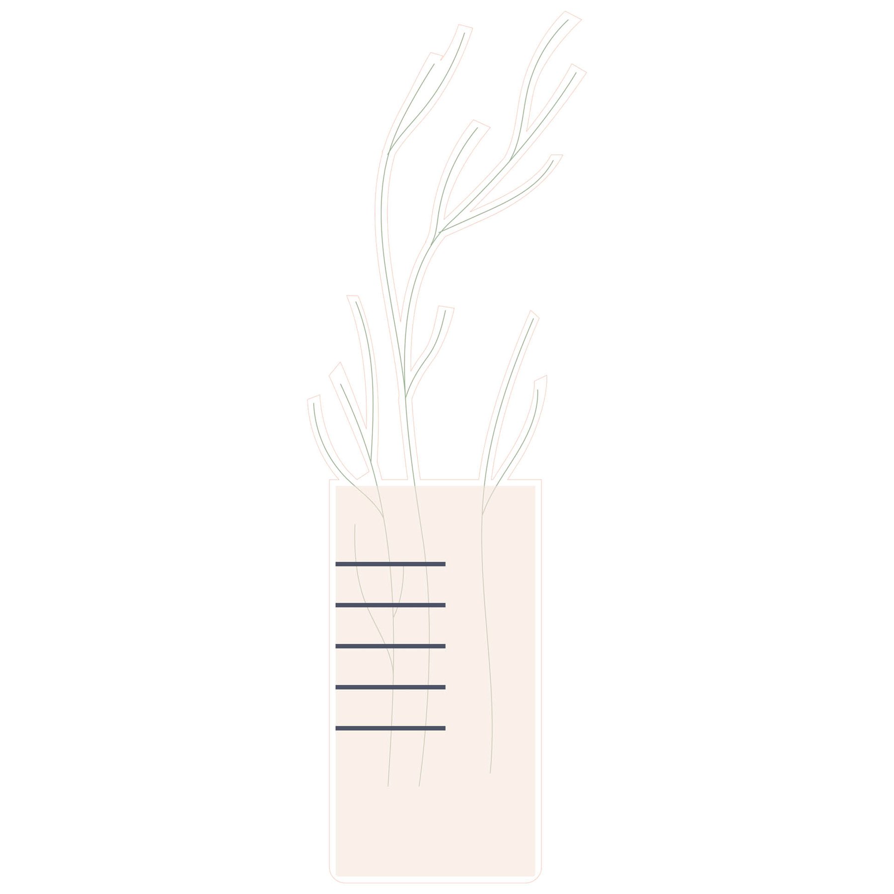 STEM Sticker, Natural sciences - Biology, set F10, 150 cm, sticker 8