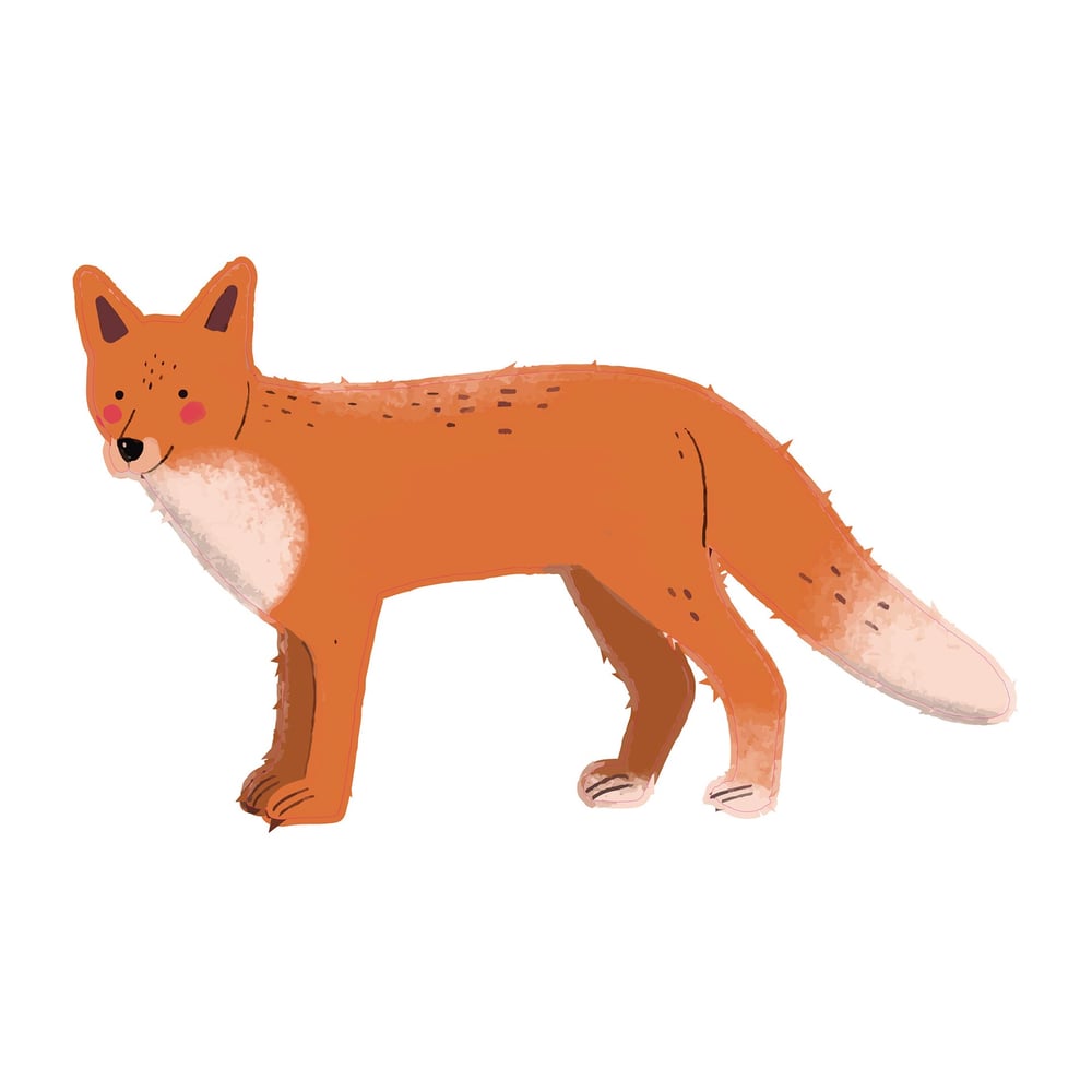 STEM Стикер, За най-малките, комплект P2, 150 cm, стикер 1