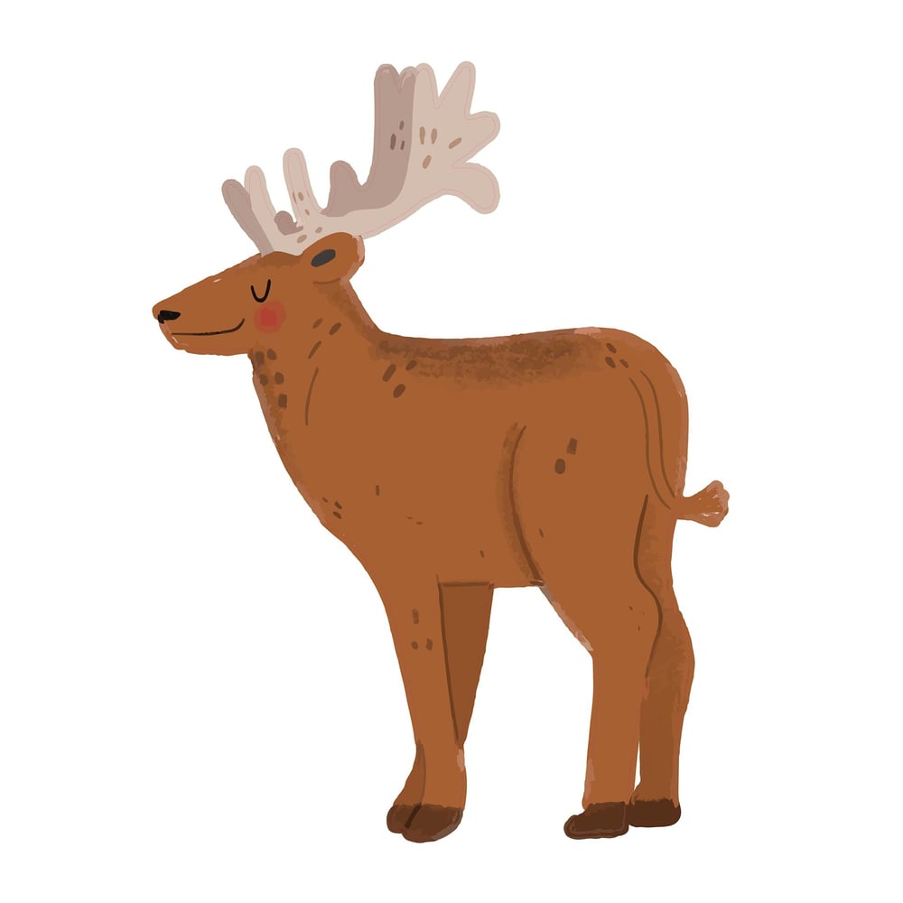 STEM Стикер, За най-малките, комплект P2, 150 cm, стикер 3