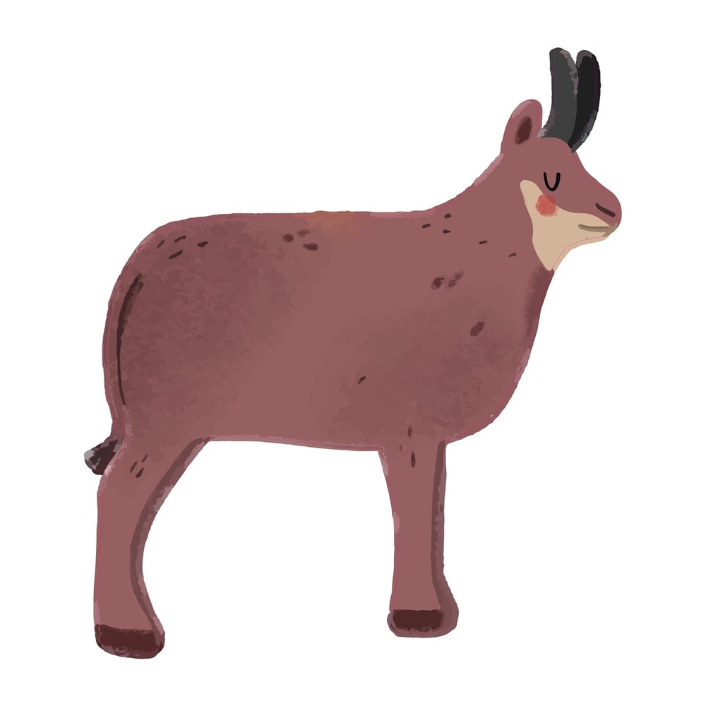 STEM Стикер, За най-малките, комплект P2, 150 cm, стикер 6