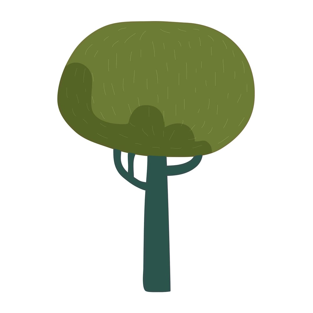 STEM Стикер, За най-малките, комплект P4, 150 cm, стикер 1