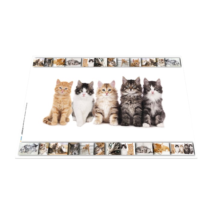 Herma Подложка за бюро, 55 x 35 cm, котки