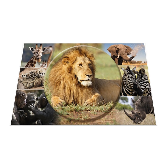 Herma Подложка за бюро, 55 x 35 cm, с африкански животни