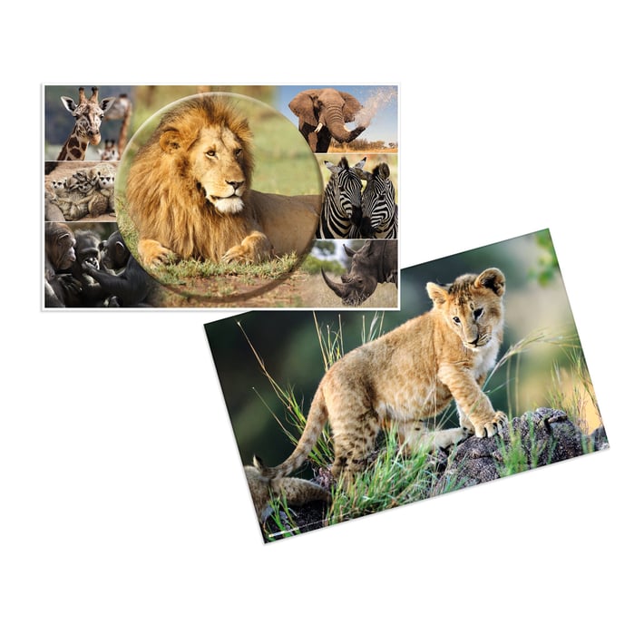 Herma Подложка за бюро, 55 x 35 cm, с африкански животни