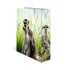 Herma Класьор Animals, картонен, 7 cm, на сурикати