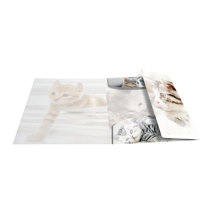Herma Папка Animals, картонена, с ластик, A4, PP, котки