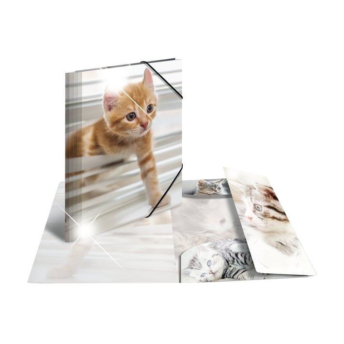 Herma Папка Animals, картонена, с ластик, A4, PP, котки