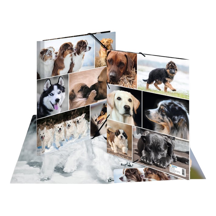 Herma Папка Animals, картонена, с ластик, A4, кучета