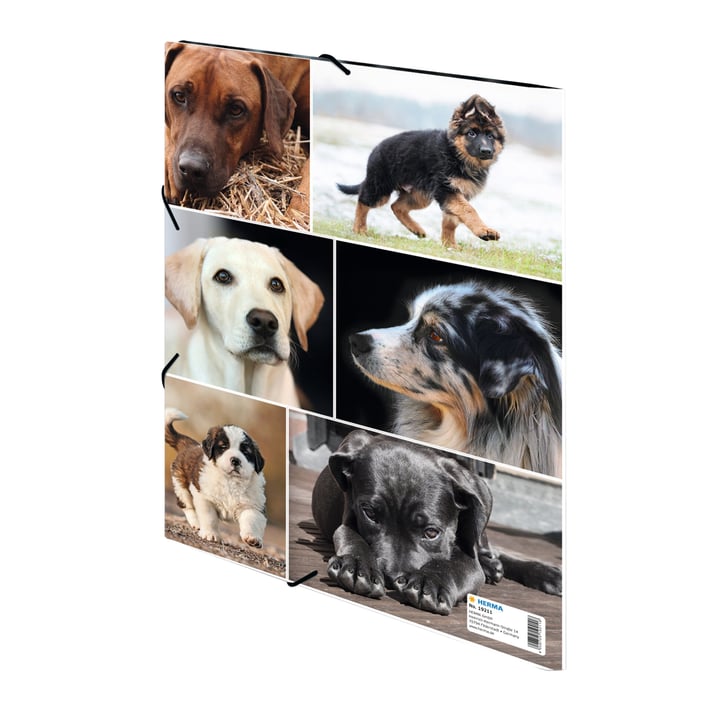 Herma Папка Animals, картонена, с ластик, A4, кучета