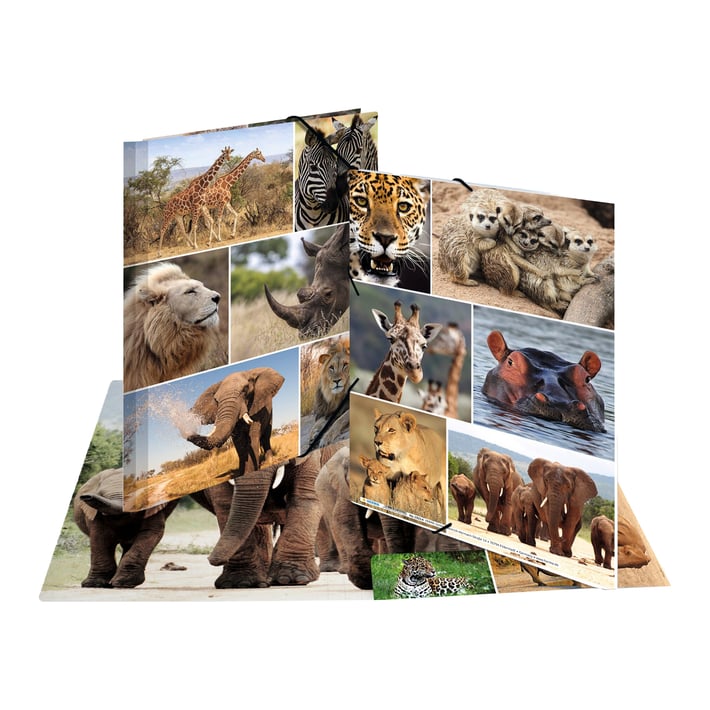 Herma Папка Animals, картонена, с ластик, A4, с африкански животни