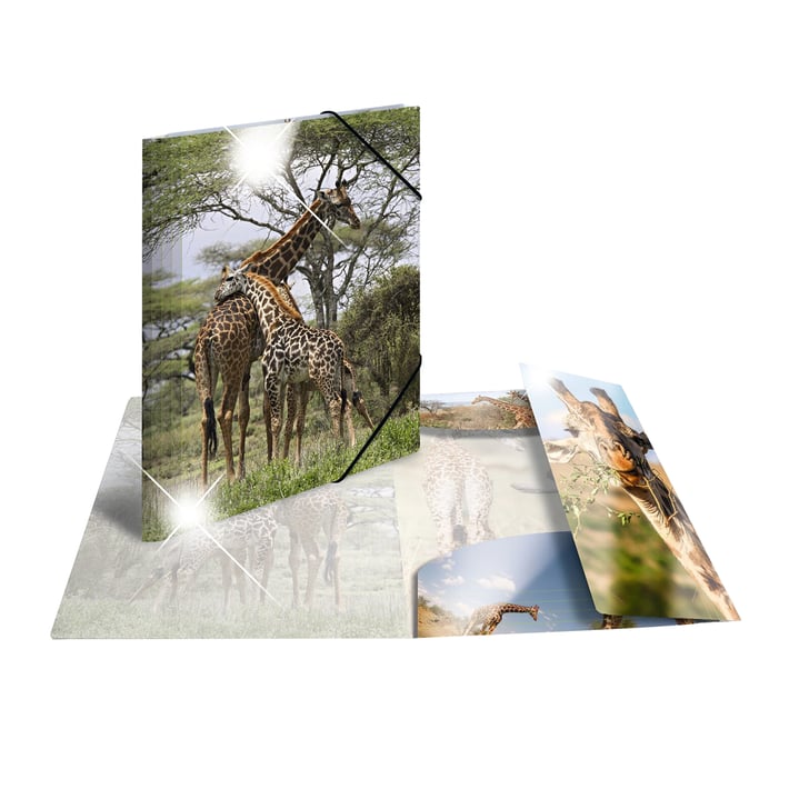 Herma Папка Animals, картонена, с ластик, A4, PP, с африкански житовни