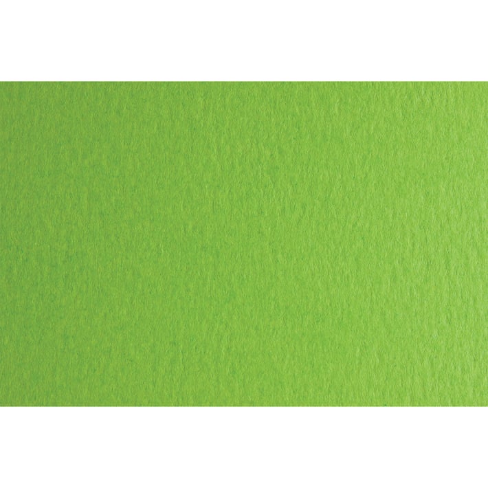 Fabriano Картон Colore, 70 x 100 cm, 140 g/m2, № 230, тревистозелен