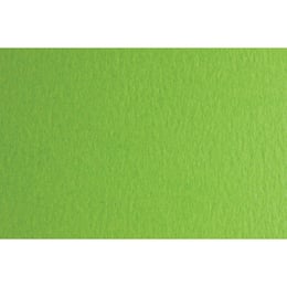 Fabriano Картон Colore, 70 x 100 cm, 140 g/m2, № 230, тревистозелен
