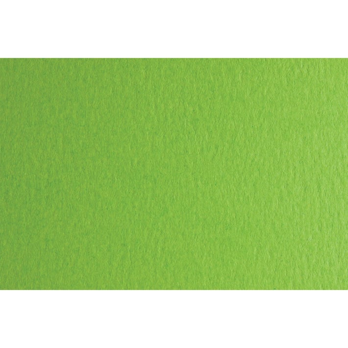 Fabriano Картон Colore, 50 x 70 cm, 140 g/m2, № 230, тревистозелен